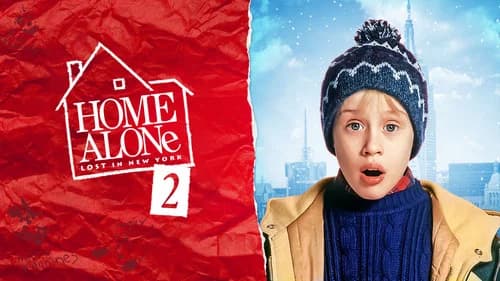 Home Alone 2: Lost in New York still