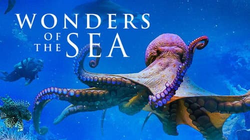 Wonders of the Sea still