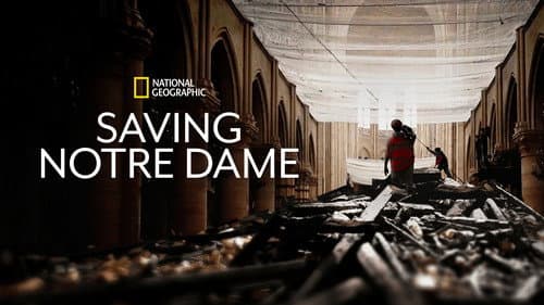 Saving Notre Dame still