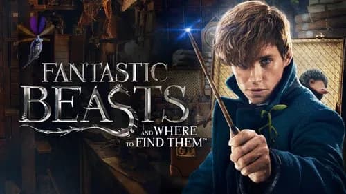 Fantastic Beasts and Where to Find Them still