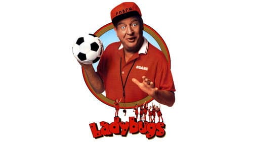 Ladybugs still