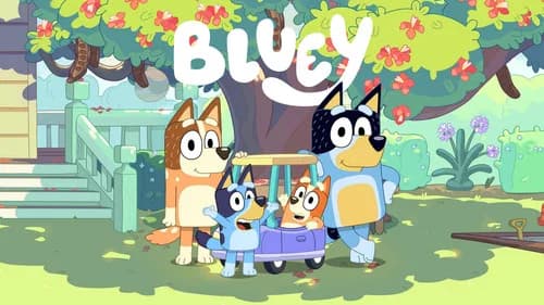 Bluey still