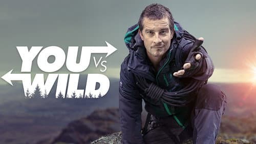 You vs. Wild still