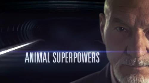 Animal Superpowers still