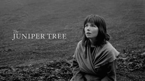 The Juniper Tree still