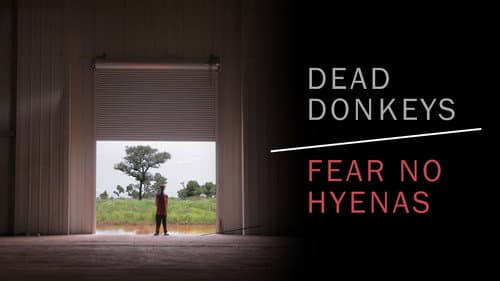 Dead Donkeys Fear No Hyenas still