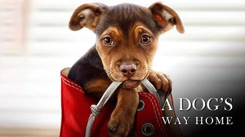 A Dog's Way Home still