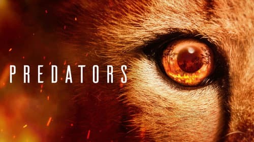 Predators still
