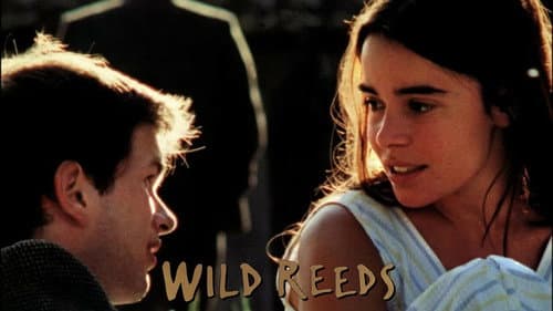 Wild Reeds still