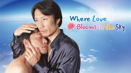 Where Love Blooms in the Sky still