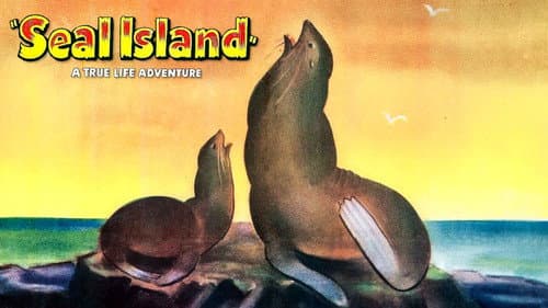 Seal Island still