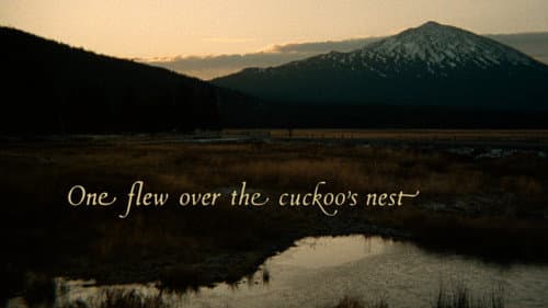 One Flew Over the Cuckoo's Nest still