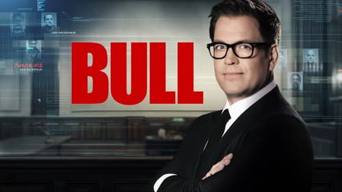 Bull still