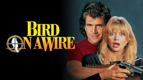 Bird on a Wire still