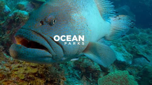 Ocean Parks still
