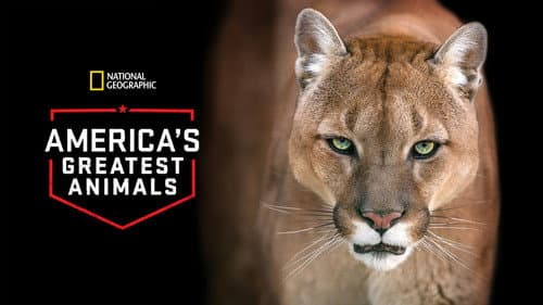 America's Greatest Animals still