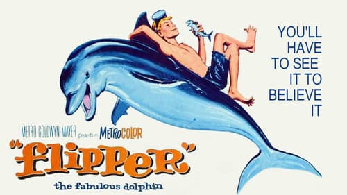 Flipper still