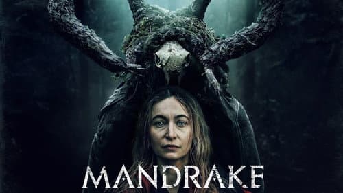 Mandrake still