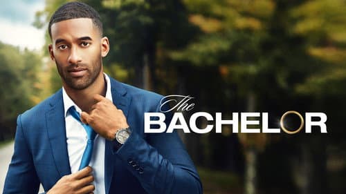 The Bachelor still