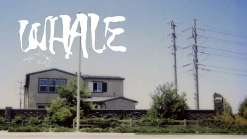 Whale still