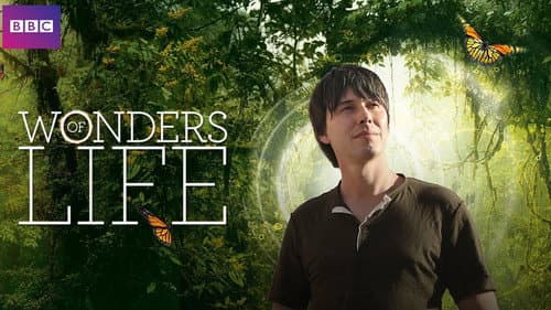 Wonders of Life still