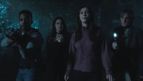 Amorosa still