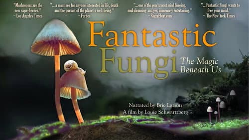 Fantastic Fungi still