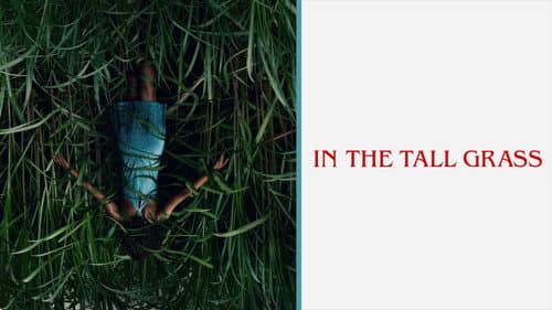 In the Tall Grass still