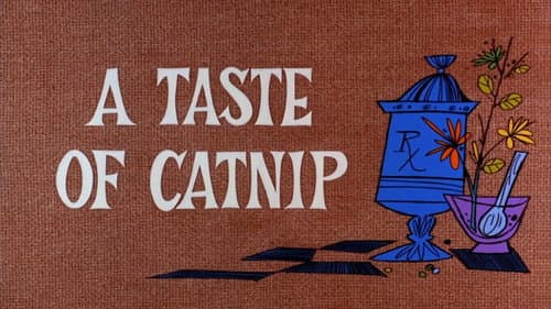 A Taste of Catnip still