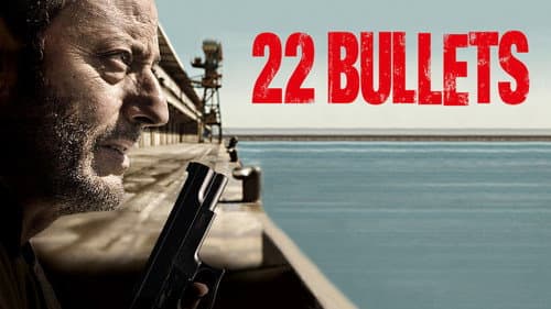 22 Bullets still