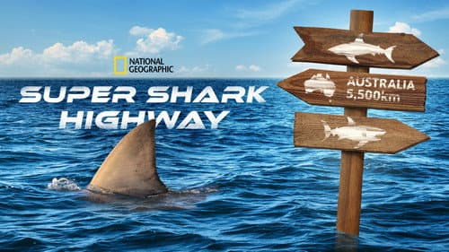 Super Shark Highway still