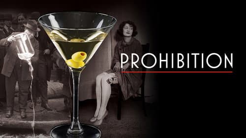 Prohibition still