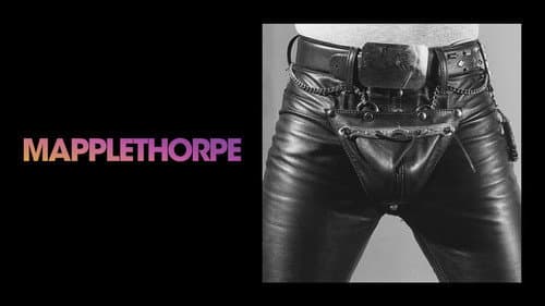 Mapplethorpe still
