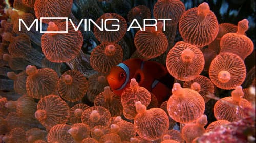Moving Art still