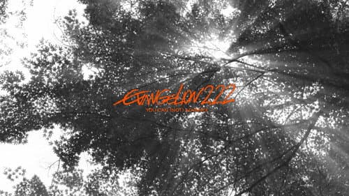 Evangelion: 2.0 You Can (Not) Advance still