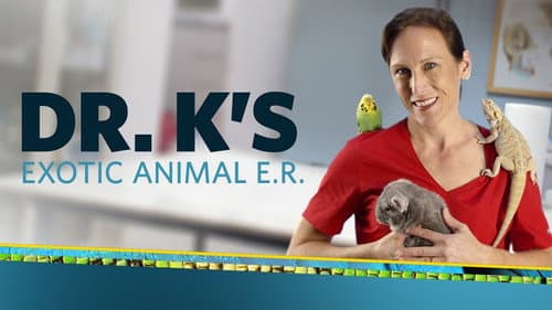 Dr. K's Exotic Animal ER still