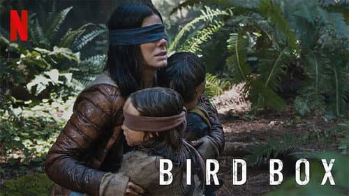 Bird Box still