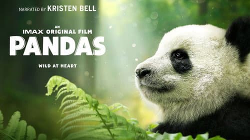 Pandas still