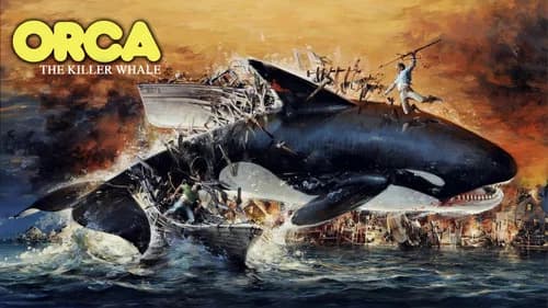Orca still