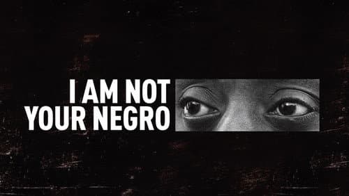 I Am Not Your Negro still