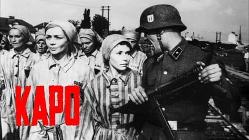 Kapo still