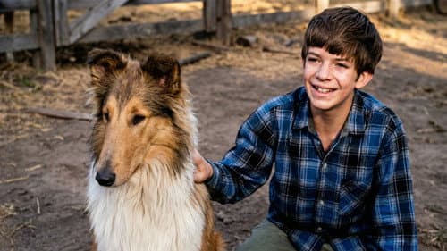 Lassie: Well of Love still