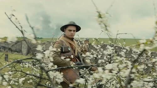 1917 still