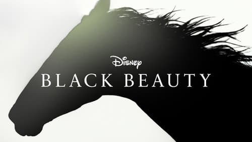 Black Beauty still
