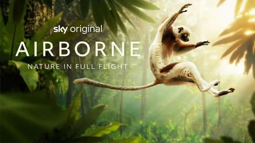 Airborne still