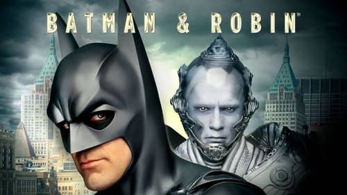 Batman & Robin still
