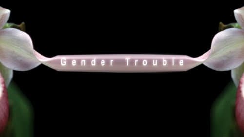 Gender Trouble still