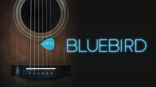 Bluebird still