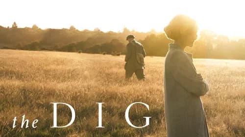 The Dig still