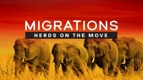 Migrations: Herds on the Move still